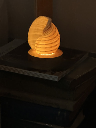 Conch Lamp