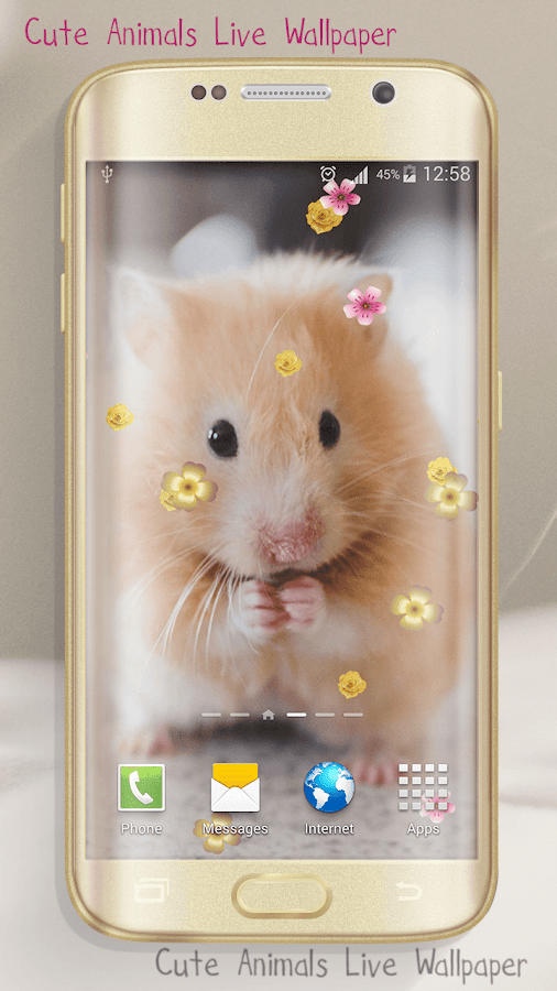  Cute  Animals  Live Wallpaper  Android Apps  on Google Play