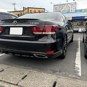 LS USF40