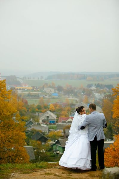 Wedding photographer Gennadiy Danilevich (dendi67). Photo of 11 January 2014