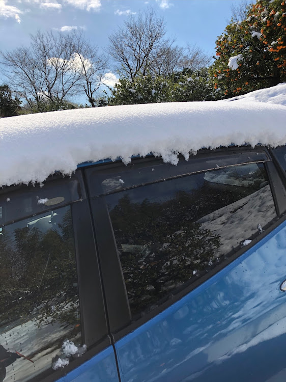 ソニカのソニカ・雪に関するカスタム事例の投稿画像3枚目