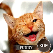 Funny GIF  Icon