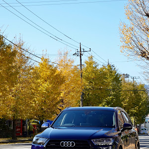 Q7