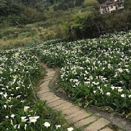 【竹子湖】苗榜花園餐廳