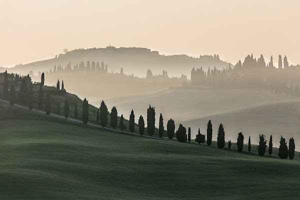 Mattina alle crete senesi di Alida Lazzaro