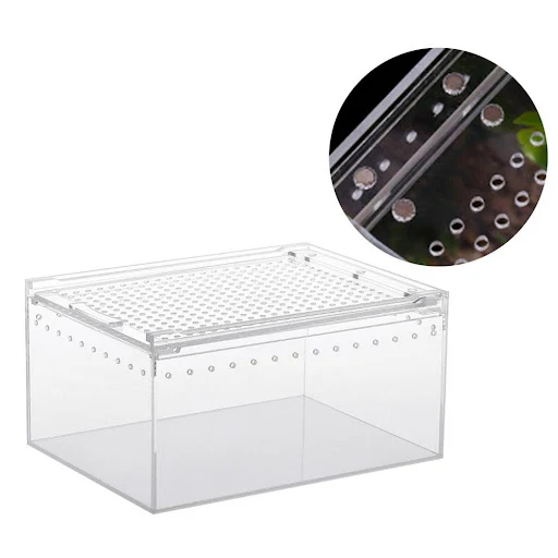 Transparent Reptile Breeding Box Acrylic Sliding Cover Type Feeding Box Insect Spiders Lizard Small Pet Terrarium Vivari