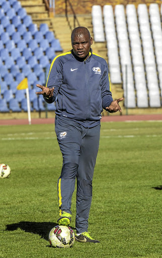 Bafana assistant coach Molefi Ntseki could be roped in as caretaker while Safa looks for a permanent coach.