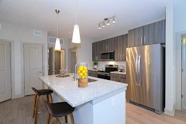 Kitchen with wood-inspired flooring, stainless steel appliances, and upscale finishes