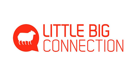 little-big-connection-outil sas collaboration saas france