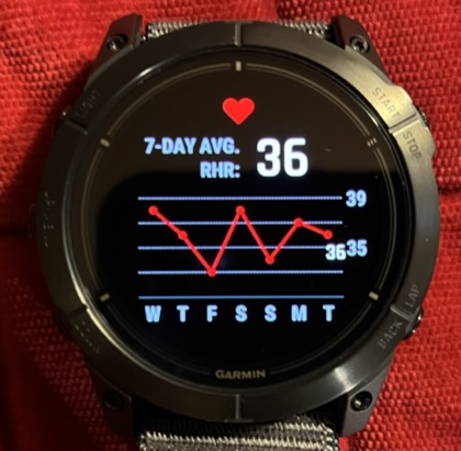 Epix Pro 47mm vs 51mm? Can't decide what's better on my wrist : r/garminepix