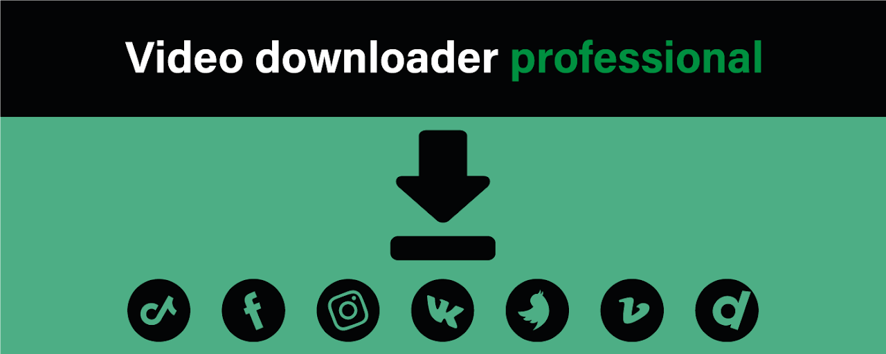 Video Downloader Professional Preview image 1