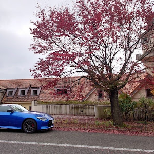 フェアレディZ RZ34