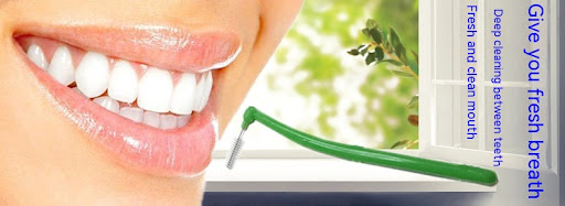 Title 2, Manual Interdental Cleaning Handle for Interden...