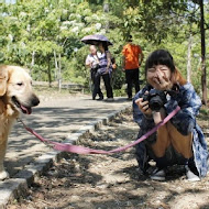 微風山林自然餐庭