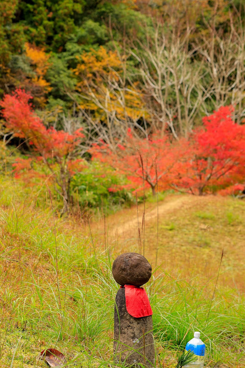 の投稿画像6枚目