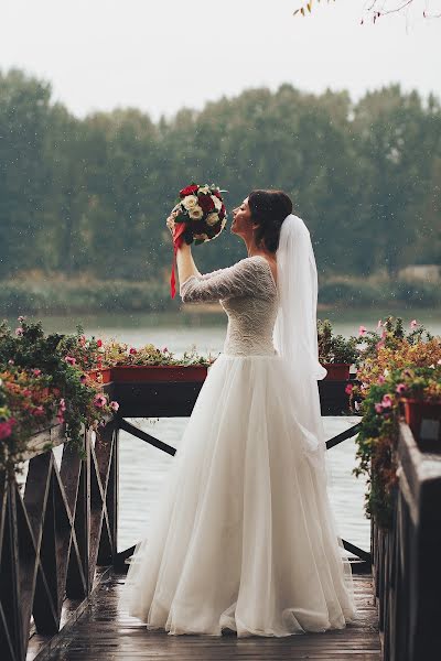 Wedding photographer Svetlana Gricyuk (sgritsyuk). Photo of 28 November 2018