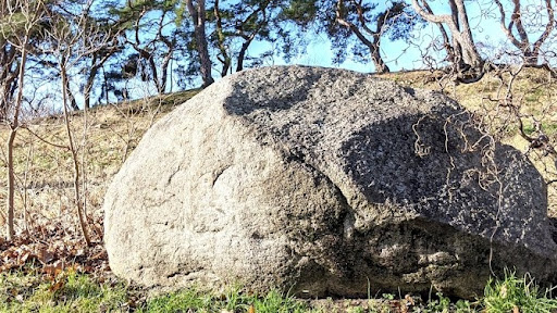 Berliner Naturdenkmäler - Auf Spurensuche in Berlin