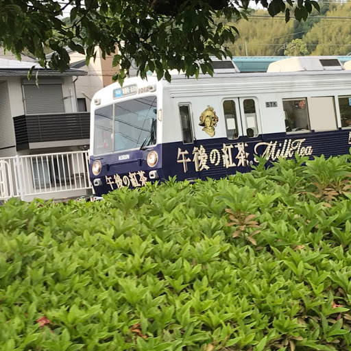 たいようくんのプロフィール画像