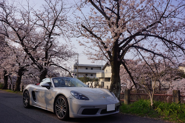 718 ボクスターのドライブ・桜とコラボ・芦有ドライブウェイ・ポルシェに関するカスタム事例の投稿画像2枚目