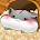 Game Hamster Life v4.6.5 MOD