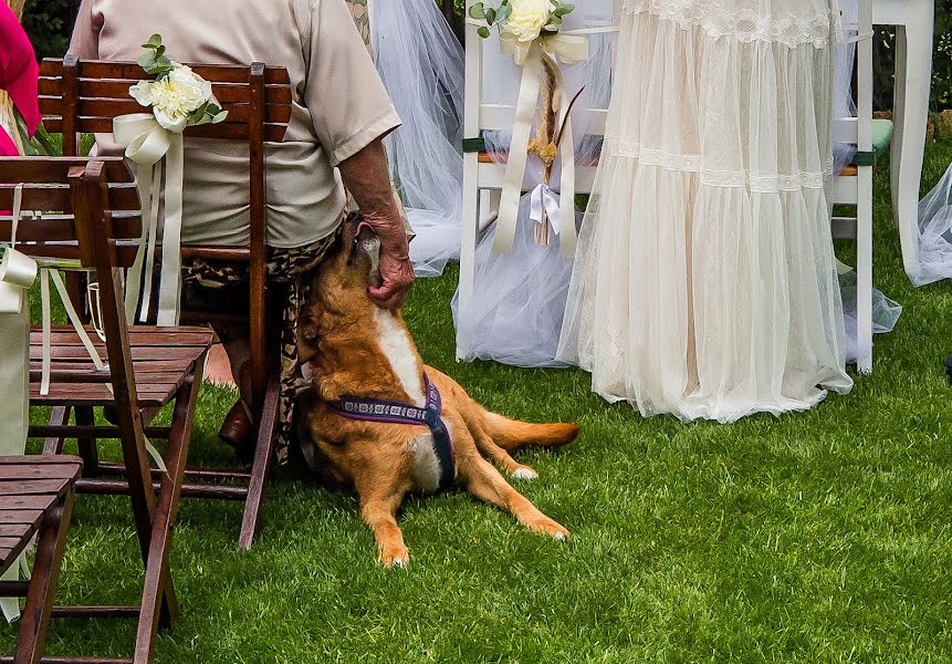 Wedding photographer Ciprian Grigorescu (cipriangrigores). Photo of 27 January 2022