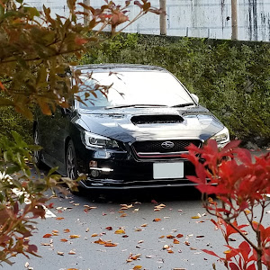 WRX STI VAB