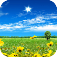 Summer Flowers Live Wallpaper