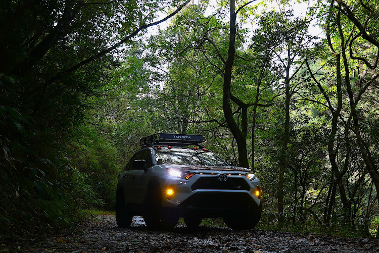 RAV4のみんなでつくろうホイール図鑑・ダム活・ROCKSTAR2・エラー表示多発・リフレクション撮影に関するカスタム事例の投稿画像4枚目