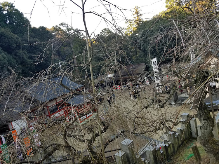 メガーヌ ハッチバックのイルカ池クラブ・ロータスクロカン部・トークロイドに挑戦・おみくじ強化月間に関するカスタム事例の投稿画像5枚目
