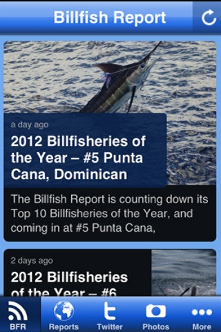 Billfish Report apk