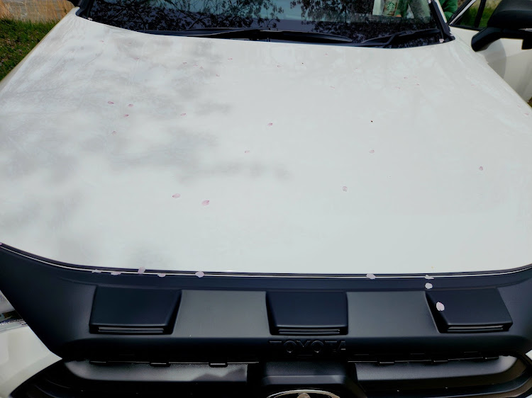 RAV4の桜が満開🌸・群馬県みなかみ町・RAV4乗りさんと繋がりたい・いつもいいね＆コメントありがとうございますに関するカスタム事例の投稿画像5枚目