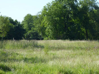 terrain à Ozoir-la-ferriere (77)