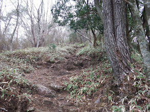 住塚山手前の急登