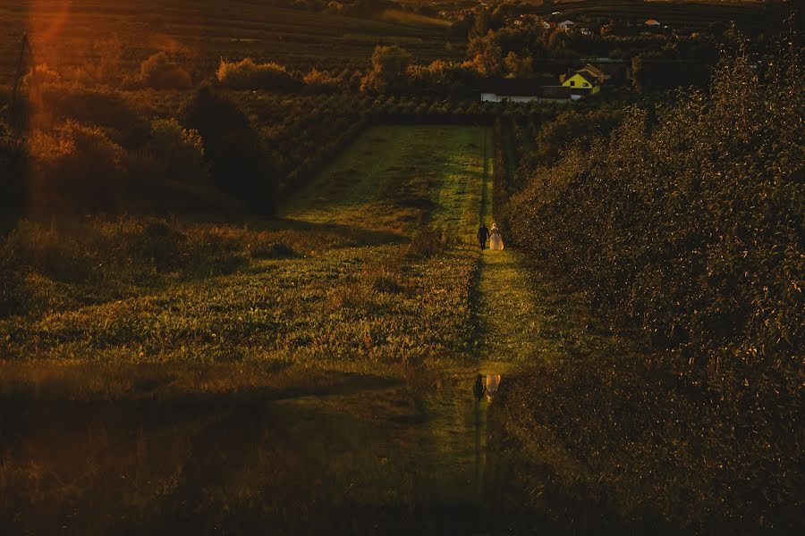 Düğün fotoğrafçısı Maciek Januszewski (maciekjanuszews). 25 Ağustos 2016 fotoları