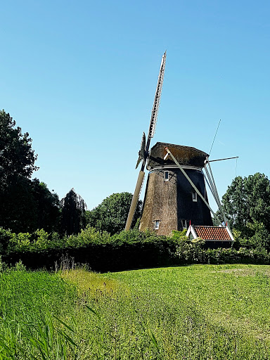 Vincent Windmill