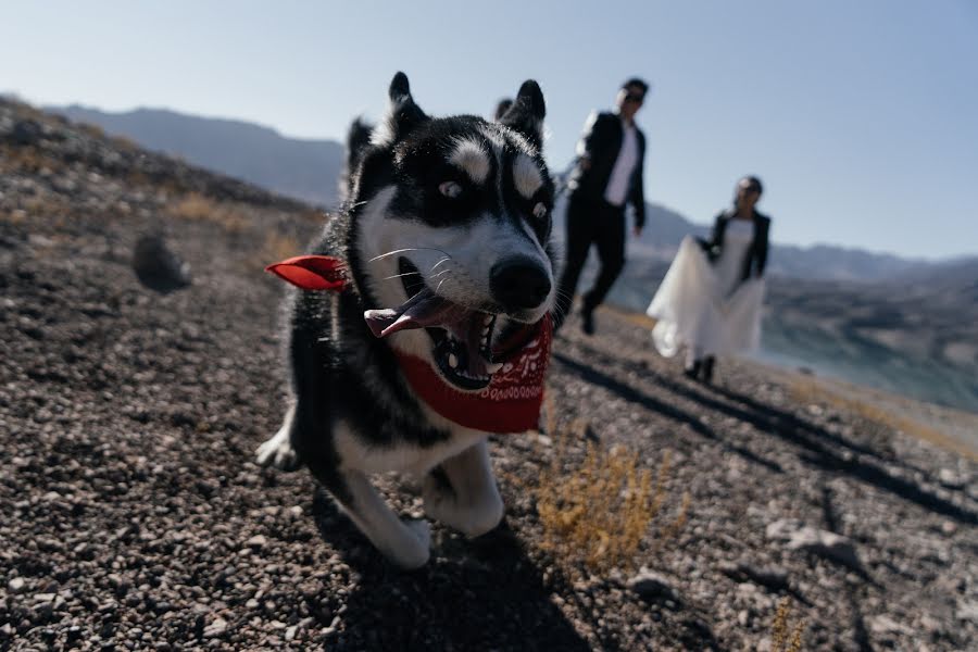 Fotografer pernikahan Kayrat Shozhebaev (shozhebayev). Foto tanggal 9 November 2020