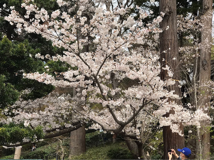 の投稿画像22枚目