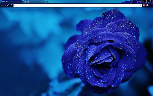 Blue Rose