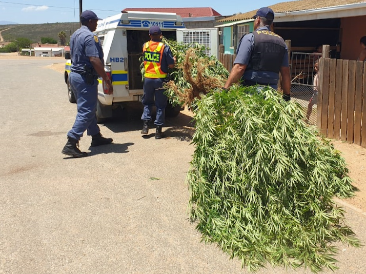 Western Cape police bust several suspects for possession of drugs this week.