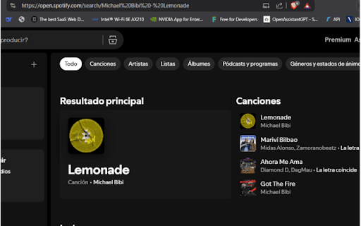 Search on Spotify Preview 2