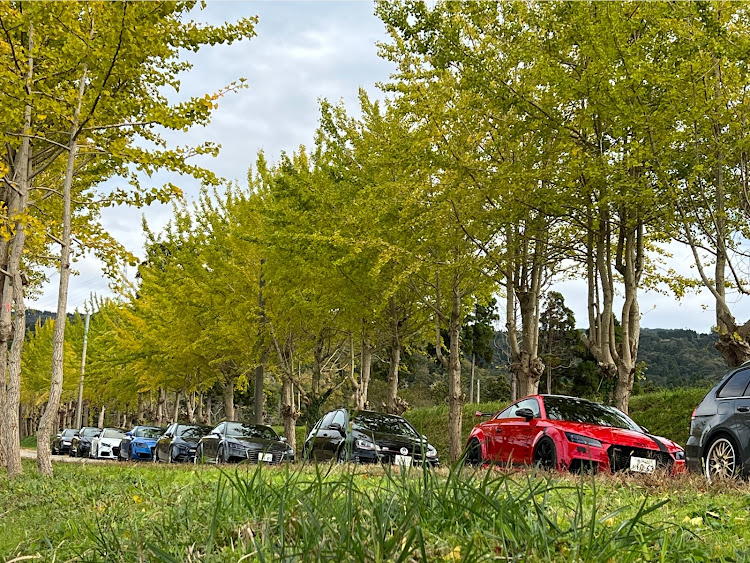 TT クーペの紅葉と愛車・プロテクションフィルム・紅葉ドライブに関するカスタム事例の投稿画像12枚目