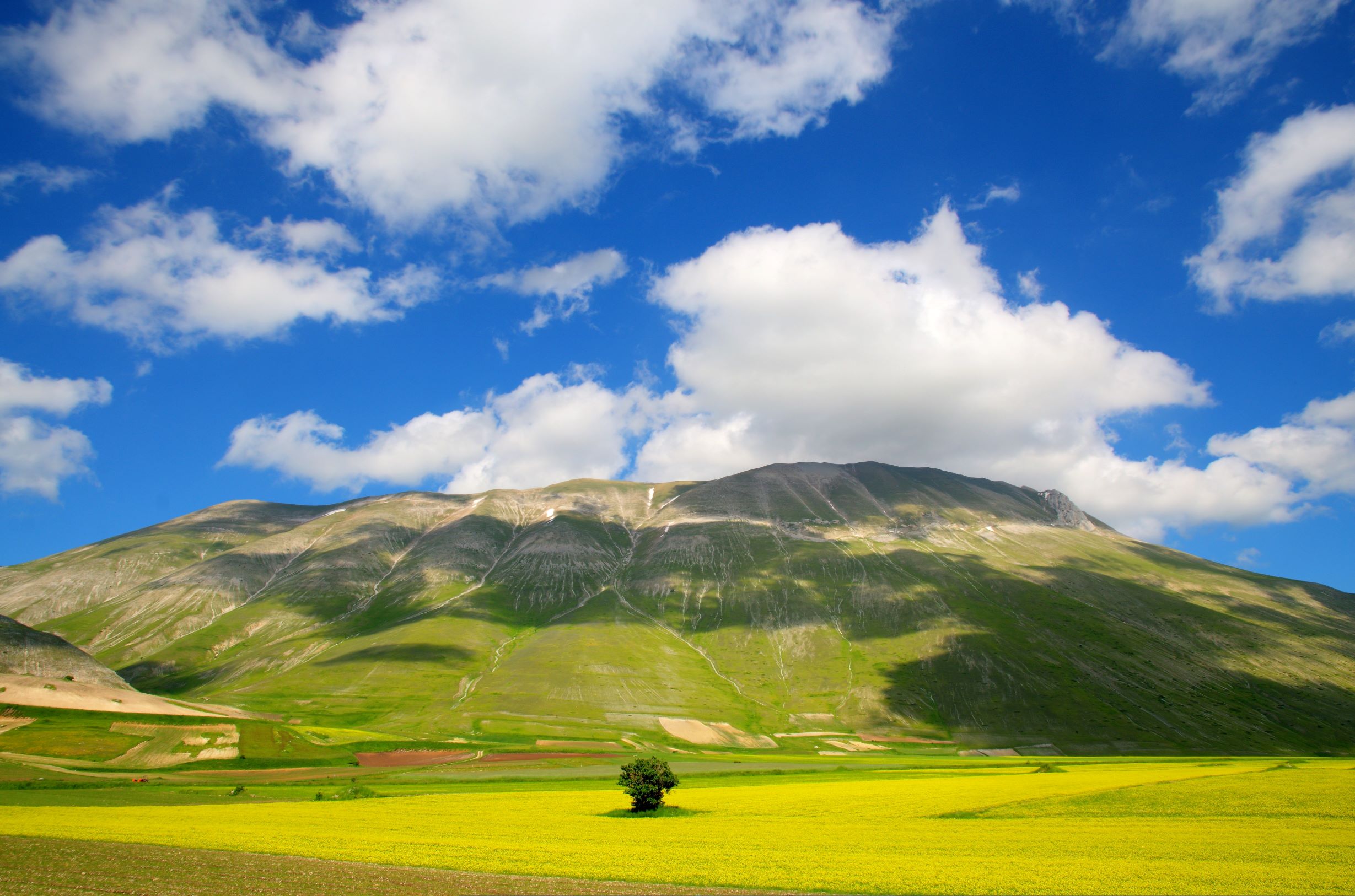 Giallo,Bianco e Blu. di matteo_maurizio_mauro