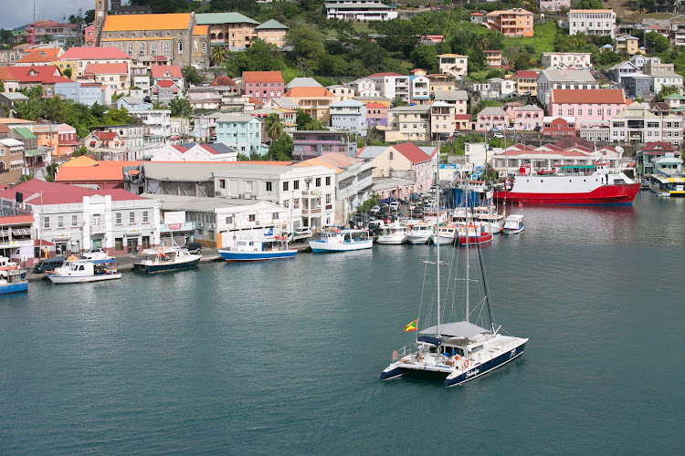 A catamaran glides into the marina at St. George's, Grenada. 