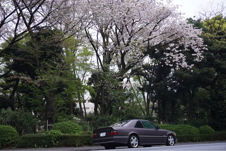 メルセデス・ベンツのメルセデスベンツ・ヤングクラシック・W124・ドイツ車に関するカスタム事例の投稿画像1枚目