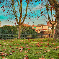 Autunno nostalgico di 