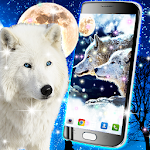 Cover Image of Скачать Wolf live wallpaper 12.8 APK