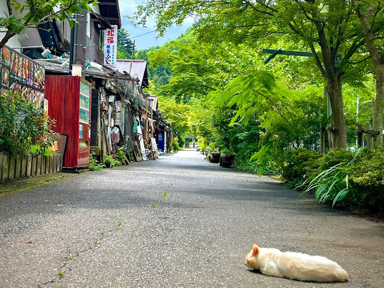 の投稿画像19枚目