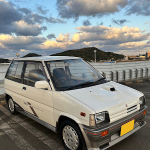 ミニカ