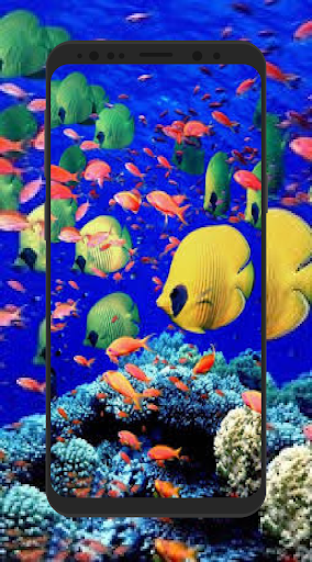 4K Wallpapers Auto Wallpaper Changer 2020