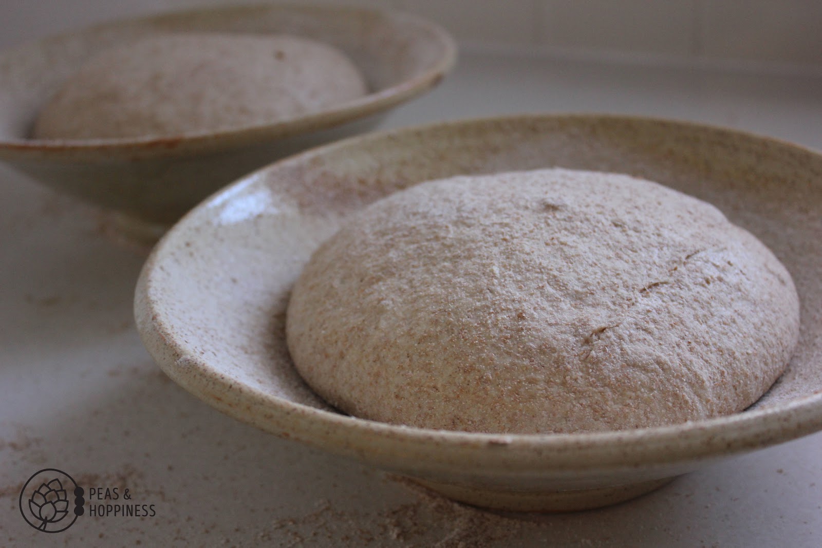 Artisan Sourdough  before rising